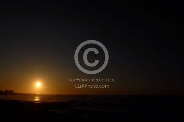 Ricochet Ranch Scenery at Ricochet Ridge Ranch