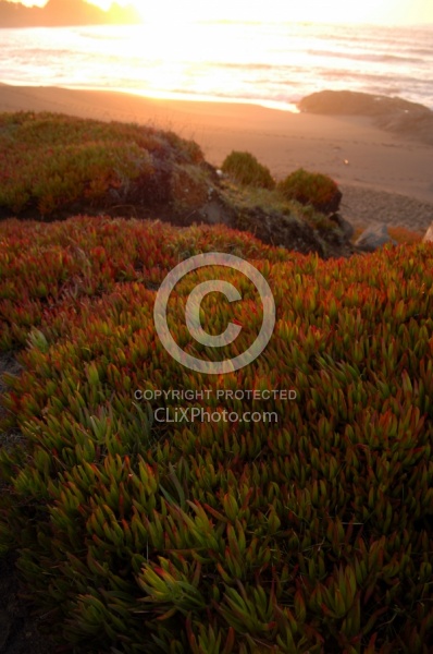 Ricochet Ranch Scenery at Ricochet Ridge Ranch