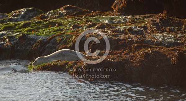 Ricochet Ranch Scenery and Wild Life at Ricochet Ridge Ranch