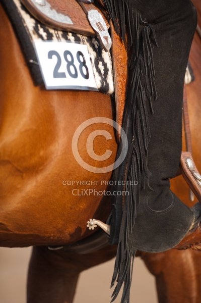 Quarter Horse Show Palgrave 2012 Western Show Turn Out