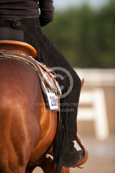 Western Show Turn Out