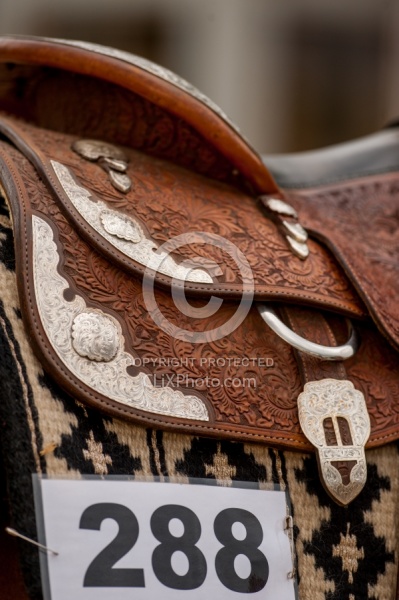  Western Show Turn Out