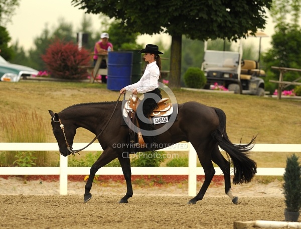 Western Show Turn Out