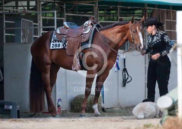 Horse Show Prep