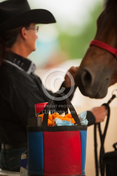Horse Show Prep
