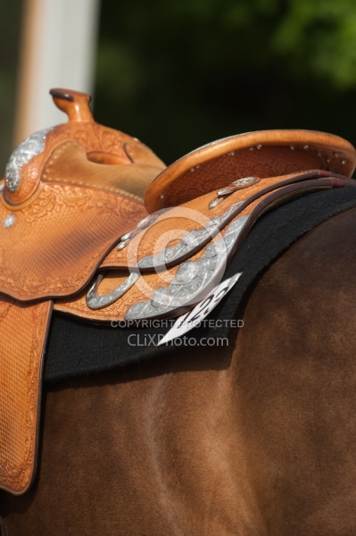 Horse Show General - Western