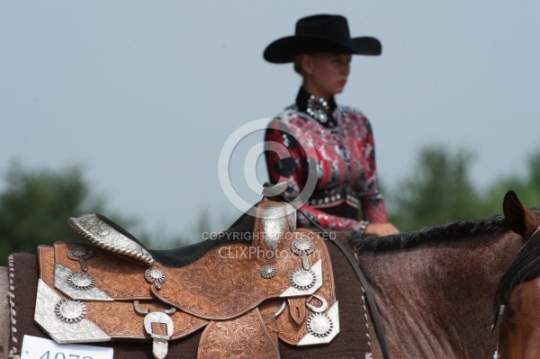 Horse Show General - Western