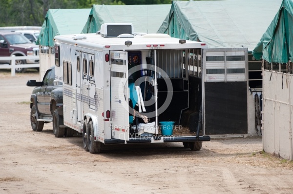 Horse Trailer at Show
