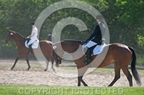 Dressage Lower Level Warm Up Ring