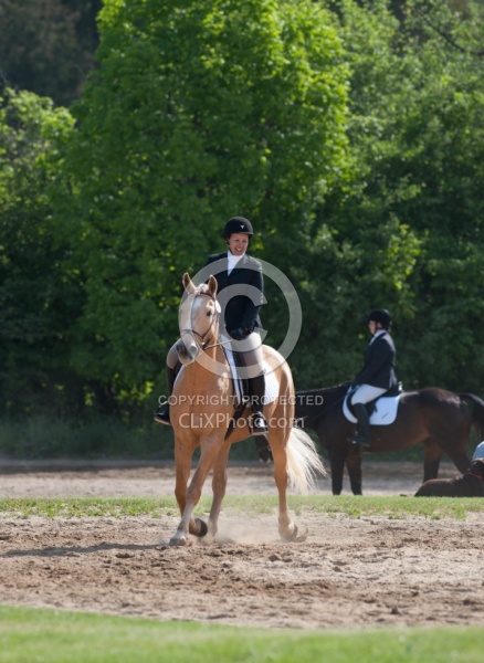 Dressage Lower Level Warm Up Ring