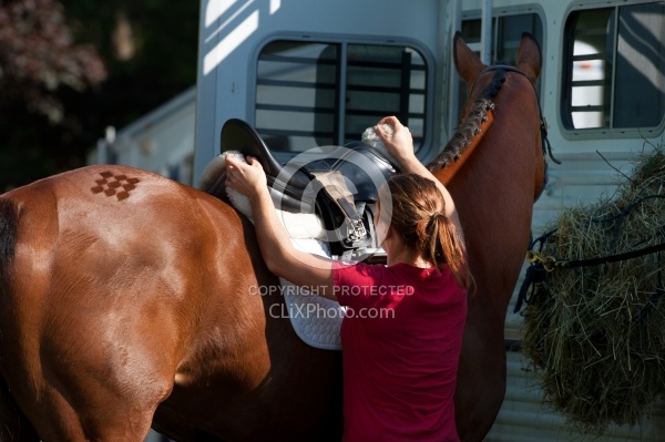 Horse Show Horses at Trailer