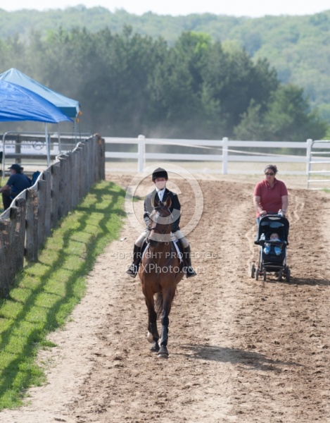 Horse Show General English
