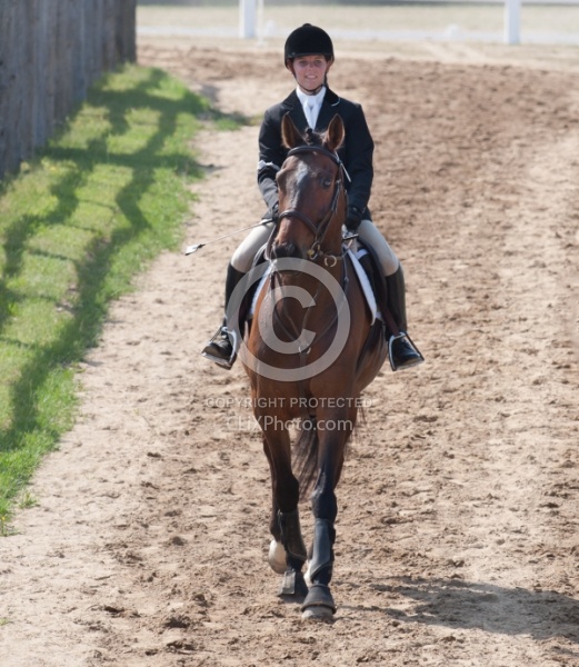 Horse Show General English