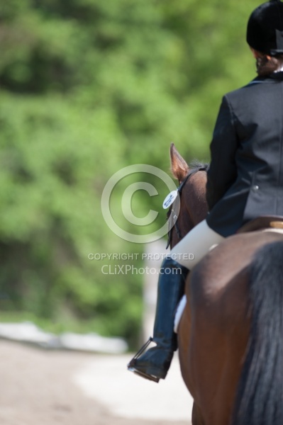 Horse Show General English