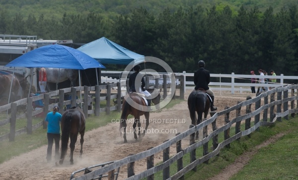 Horse Show General English