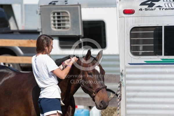 Braiding at Horse Show