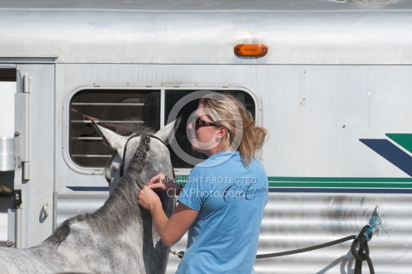Braiding at Horse Show