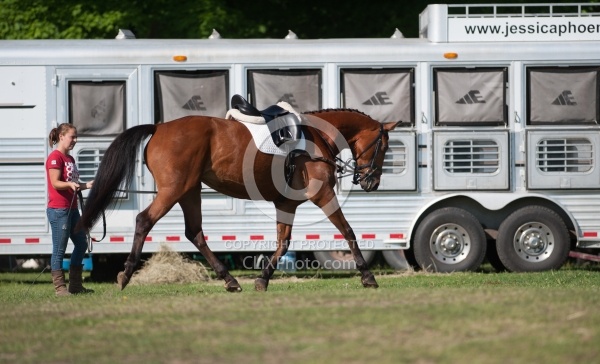 Longeing at Horse Show