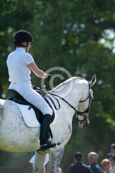 Dressage Lower Level