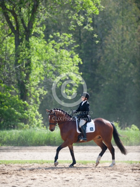 Dressage Lower Level Warm Up