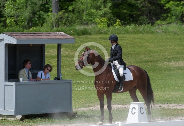 Dressage Lower Level Showing