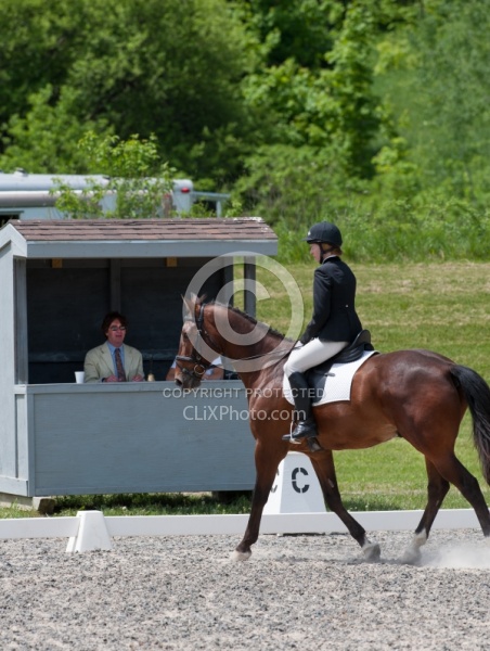 Dressage Lower Level in Ring