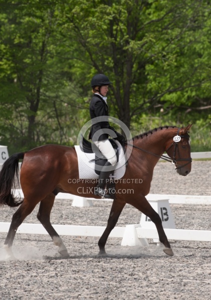 Dressage Lower Level in Ring
