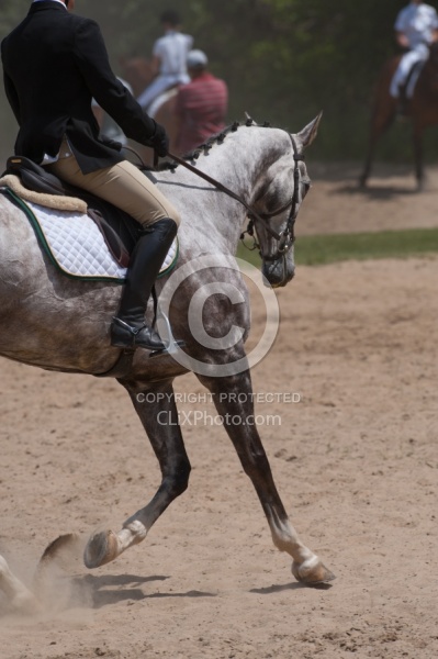 Dressage Warm Up Area