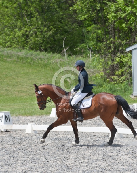 Dressage Lower Level in Ring