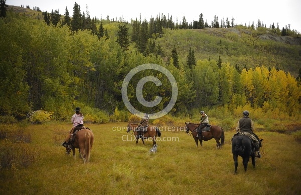 On the Trail - Yukon Pack Trip