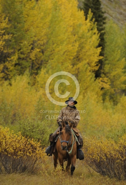 On the Trail - Yukon Pack Trip
