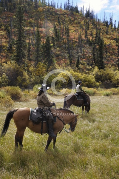 On the Trail - Yukon Pack Trip