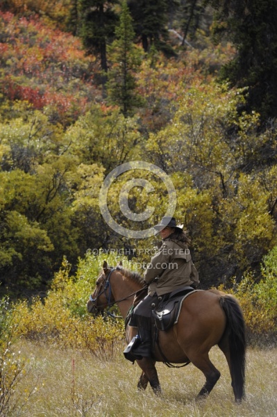 On the Trail - Yukon Pack Trip
