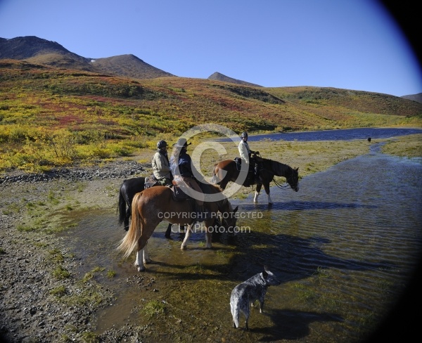On the Trail - Yukon Pack Trip