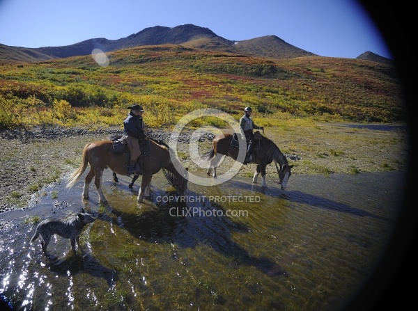 On the Trail - Yukon Pack Trip