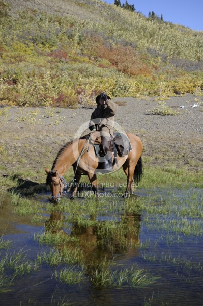 On the Trail - Yukon Pack Trip