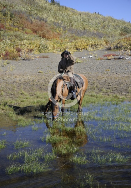 On the Trail - Yukon Pack Trip