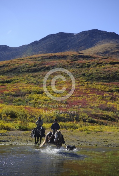On the Trail - Yukon Pack Trip