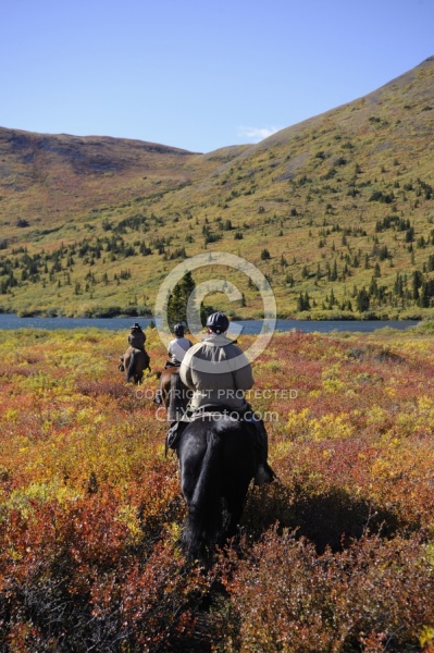 On the Trail - Yukon Pack Trip