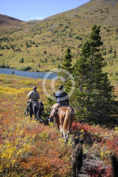 On the Trail - Yukon Pack Trip