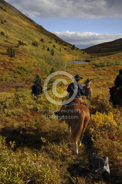 On the Trail - Yukon Pack Trip