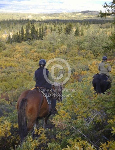 On the Trail - Yukon Pack Trip