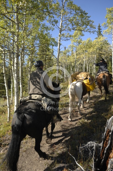 On the Trail - Yukon Pack Trip