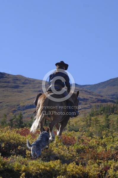 On the Trail - Yukon Pack Trip