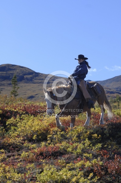 On the Trail - Yukon Pack Trip