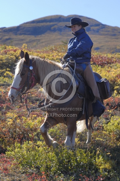 On the Trail - Yukon Pack Trip
