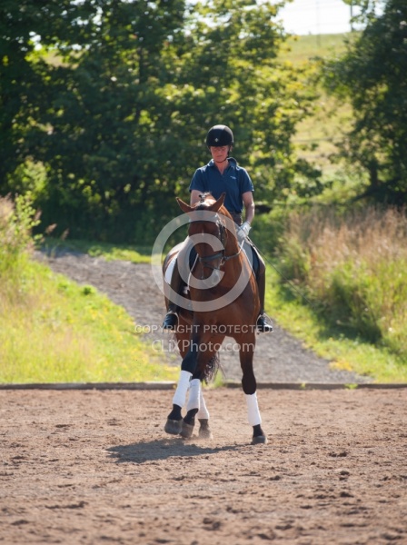 Oldenburg Pangea farms Dressage Leg Yielding