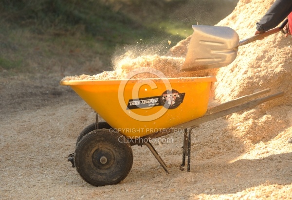 Shavings Shavings