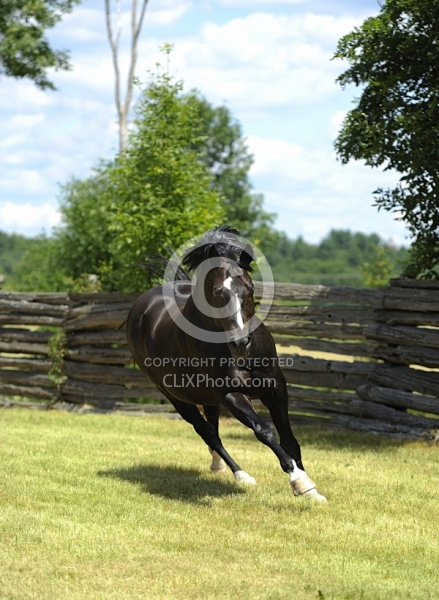 Spring Summer Vertical