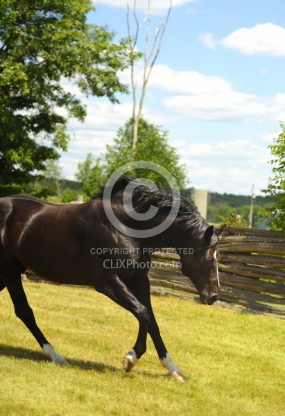 Spring Summer Vertical